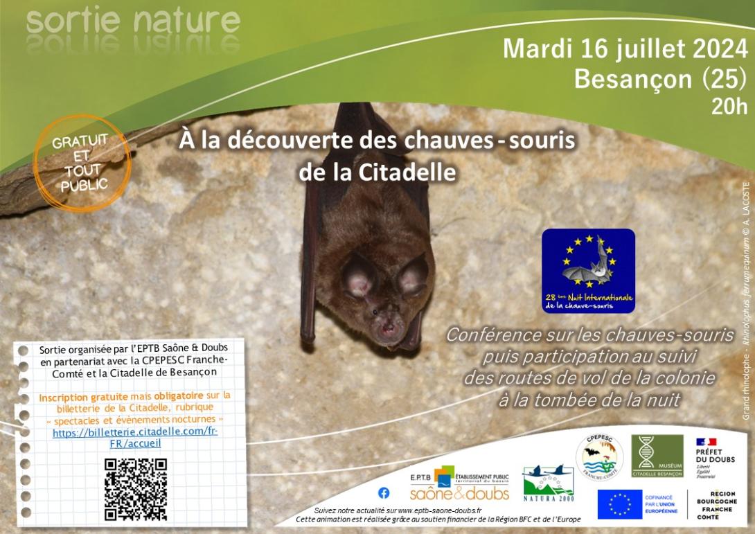 Affiche animation chauves-souris à la Citadelle en partenariat avec la CPEPESC Franche-Comté