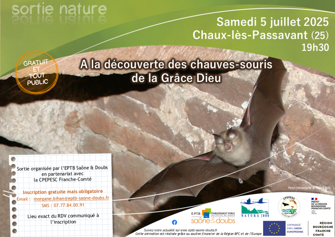 Affiche sortie chuaves-souris Grâce Dieu 5 juillet 2025 19h30